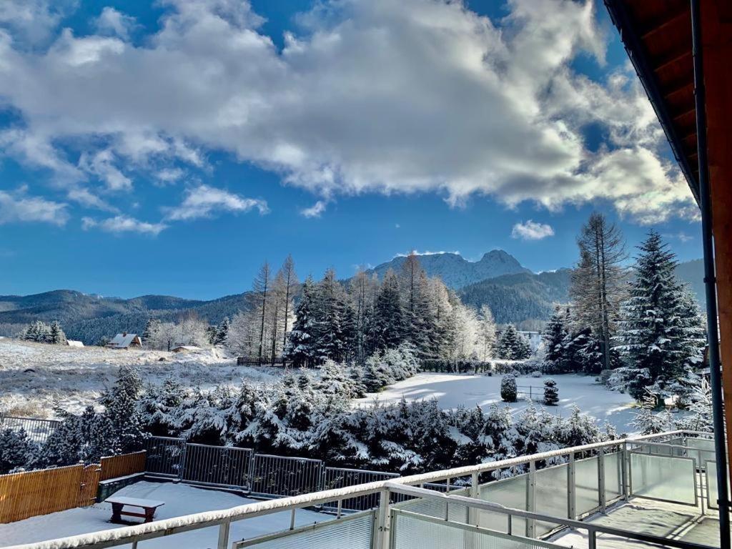 Apartament Rysy Apartamentyzakopianskie Basen Sauna Jacuzzi Zakopane Kültér fotó