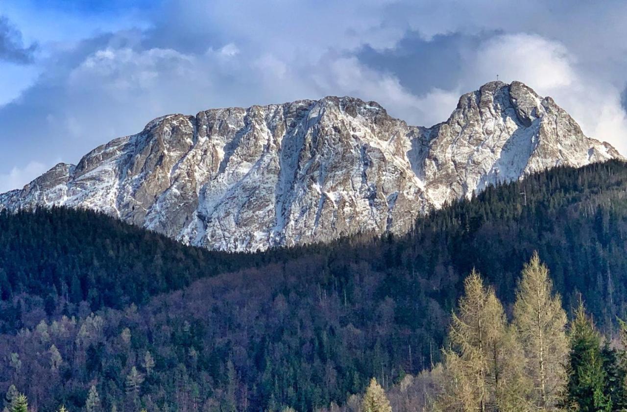 Apartament Rysy Apartamentyzakopianskie Basen Sauna Jacuzzi Zakopane Kültér fotó